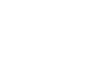 Name:			Certina Argonaut Chronograph Typ:			Chronograph / -Handaufzug Referenz:		8401 001 / Cal.29-053 Val.23 Zustand:		Sehr gut Jahrgang:		1968  Komplikation:	Zeit / Chronograph Gehäuse: 		Stahl / unpoliert Glas:			Plexiglas Durchmesser:	38 x 42 x12mm  Zifferblatt:		Weiss mit schwarzen Totalis Band:			Leder schwarz / nicht Original Schliesse:		Stiftschliesse Stahl Original Zubehör:		Box Original