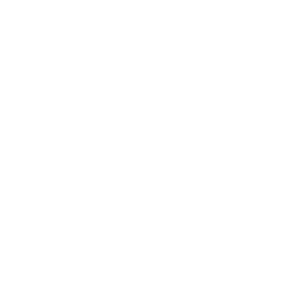 Name:			Longines Nonius Typ:			Chronometer / Handaufzug Referenz:		8225-1 / Cal.538  Zustand:		Getragen / sehr gut wie neu! Jahrgang:		ca. 1970 Komplikation:	Zeit /  Chronometer Gehäuse: 		Stahl Glas:			Mineralglas Durchmesser:	43.0 mm mit Krone Zifferblatt:		Silber Band:			Original Leder / schwarz Schliesse:		Original Stiftschliesse  Zubehör:		Ersatzband schwarz