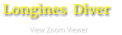 Longines  Diver                      View Zoom Viewer