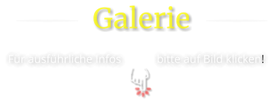 bitte auf Bild klicken! Für ausführliche Infos  Galerie