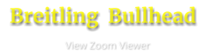 View Zoom Viewer  Breitling  Bullhead