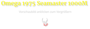Omega 1975 Seamaster 1000M  Vorschaubild anklicken zum Vergrößern
