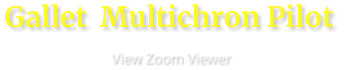 Gallet  Multichron Pilot                      View Zoom Viewer